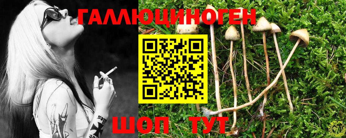 купить   Галлюциногенные грибы мухоморы  Вход с VPN  Калуга  Галлюциногенные грибы Psilocybine cubensis 